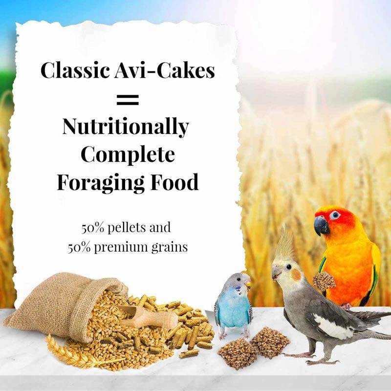 Lafeber Classic Avi-Cakes Gourmet Parakeet, Cockatiel and Conure Food - PetMountain.com