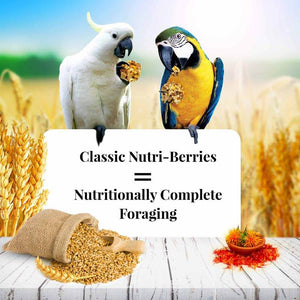 Lafeber Classic Nutri-Berries Macaw and Cockatoo Food