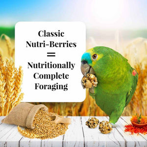 Lafeber Classic Nutri-Berries Parrot Food