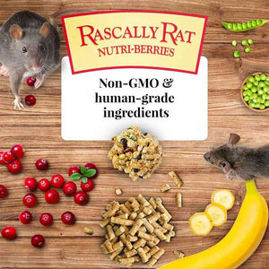 Lafeber Nutritionally Complete Adult Rat Food with Bananas Cranberries and Peas - PetMountain.com