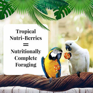 Lafeber Tropical Fruit Nutri-Berries Macaw and Cockatoo Food - PetMountain.com