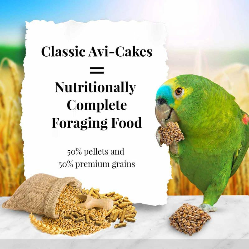 Lafeber Classic Avi-Cakes Gourmet Parrot Food - PetMountain.com