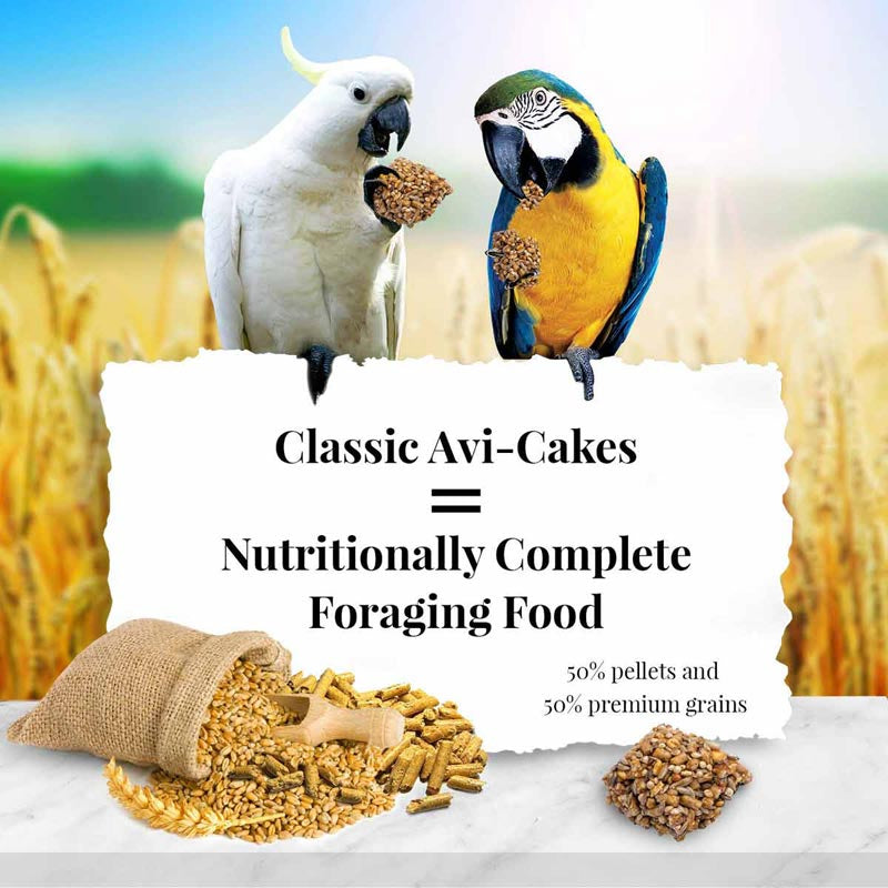 Lafeber Classic Avi-Cakes Gourmet Macaw and Cockatoo Food - PetMountain.com