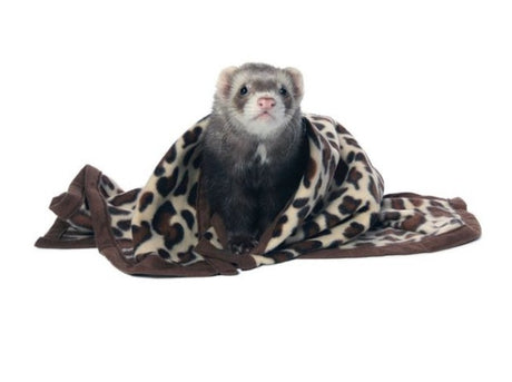 Marshall Designer Fleece Blanket for Small Animals - PetMountain.com