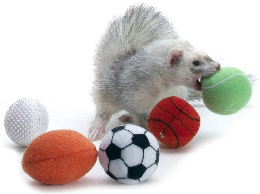 12 count (6 x 2 ct) Marshall Ferret Sport Balls Assorted Styles