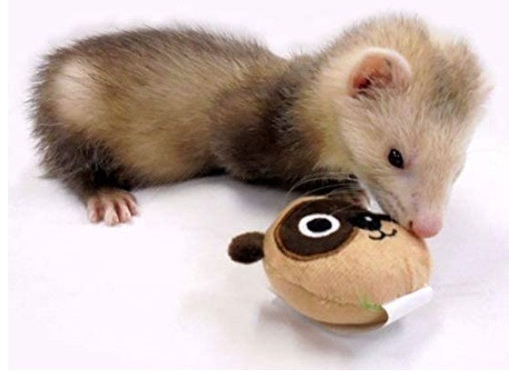1 count Marshall Ferret Face Plush Toy