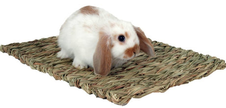 9 count Marshall Peters Woven Grass Mat for Small Animals