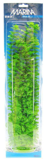 Marina Aquascaper Ambulia Plant - PetMountain.com