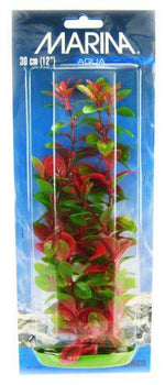 Marina Aquascaper Red Ludwigia Plant - PetMountain.com