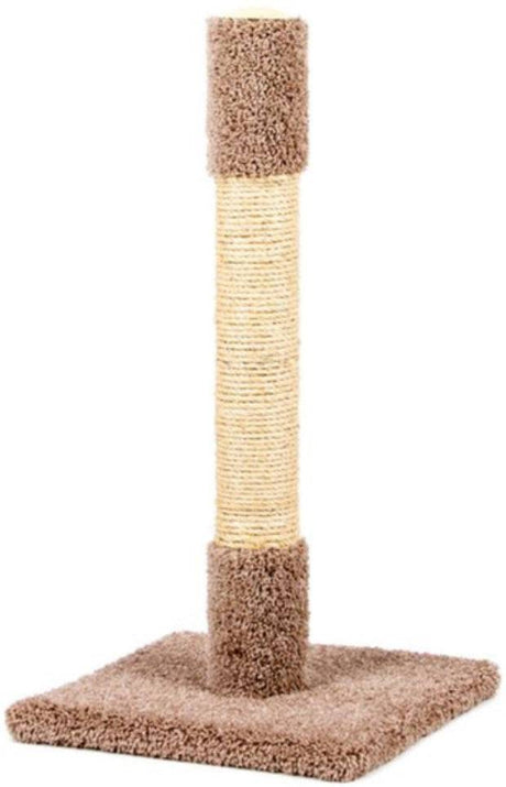 North American Classy Kitty Decorator Cat Scratching Post Carpet and Sisal Assorted Colors