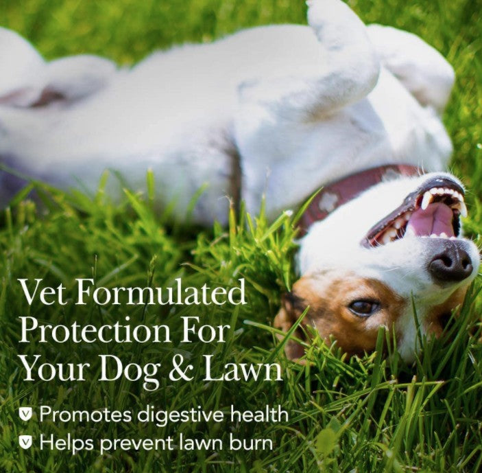 Nutri-Vet Grass Guard Max Chewable Tablets for Dogs - PetMountain.com