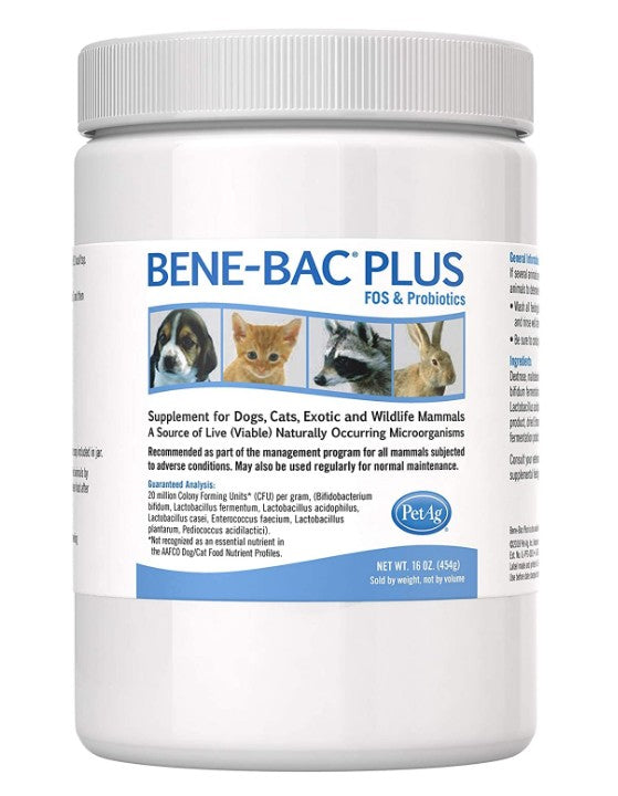 PetAg Bene-Bac Plus Pet Powder - PetMountain.com