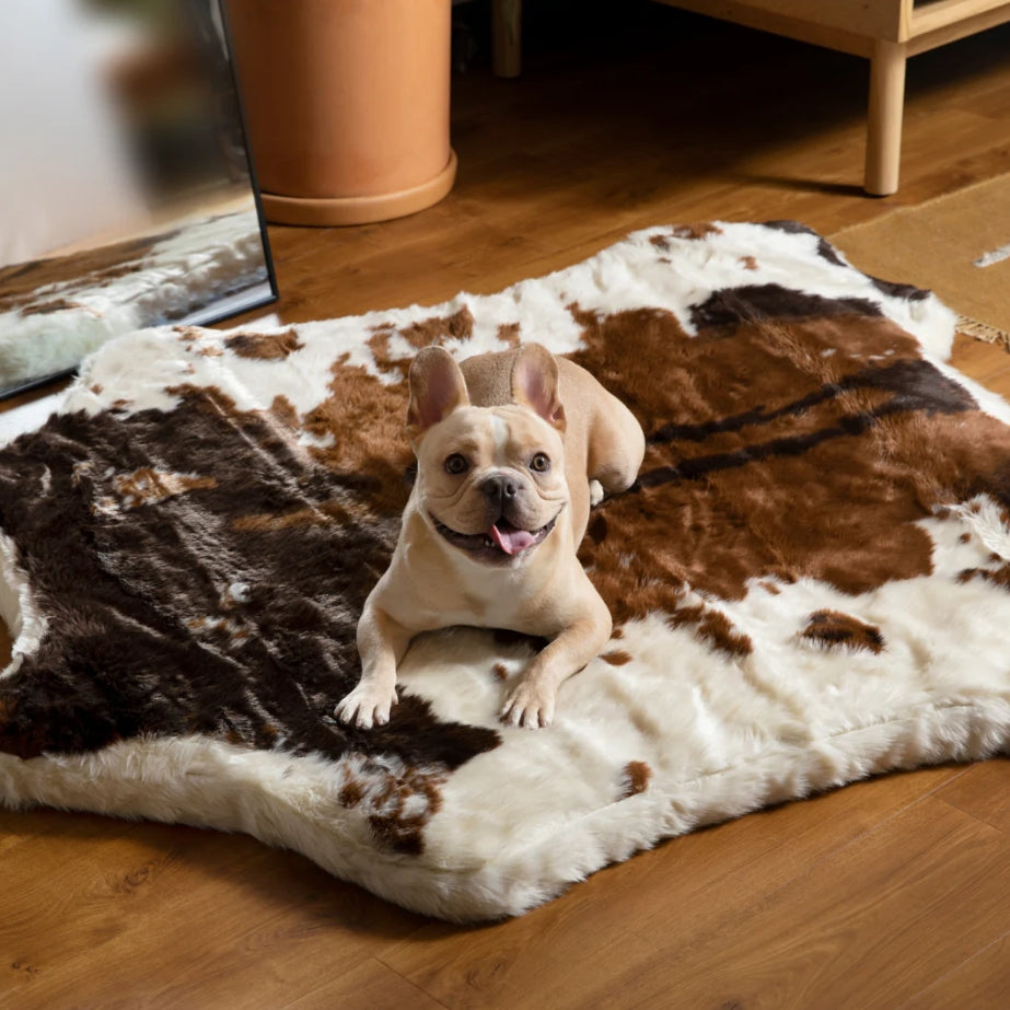 Medium - 1 count Paw Puprug Animal Print Memory Foam Dog Bed Brown Faux Cowhide