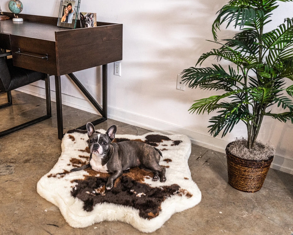 Small - 1 count Paw Puprug Animal Print Memory Foam Dog Bed Brown Faux Cowhide