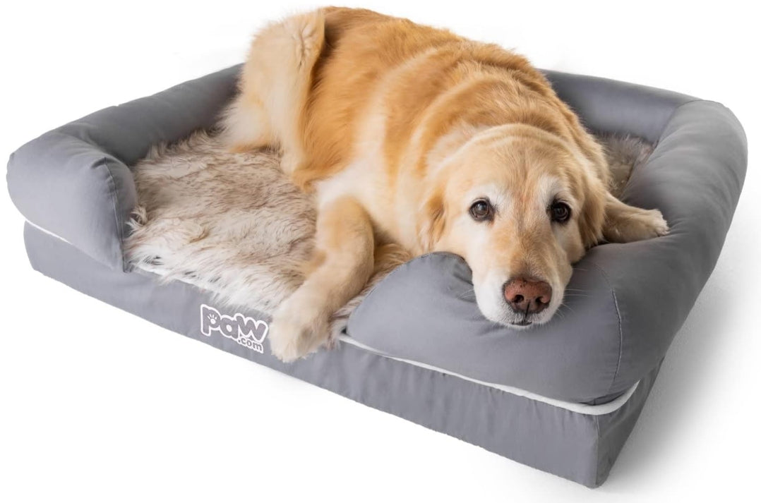Medium/Large - 1 count Paw PupLounge Memory Foam Bolster Bed & Topper