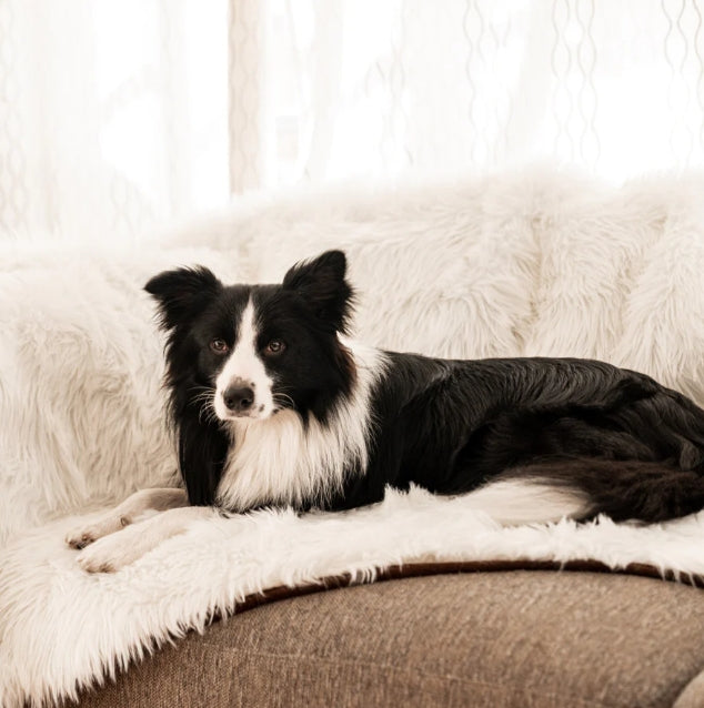 Paw Waterproof Fur Blanket White for Pets - PetMountain.com