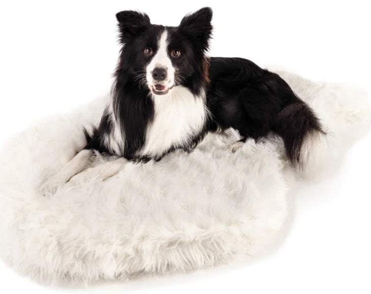 Small/Medium - 1 count Paw PupRug Faux Fur Orthopedic Dog Bed White
