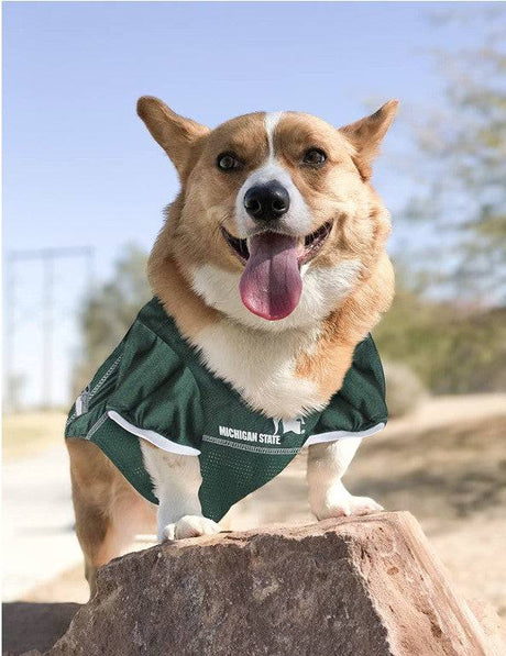 Pets First Michigan State Mesh Jersey for Dogs