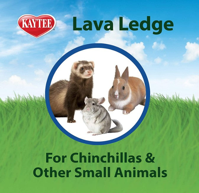 6 count Kaytee Lava Ledge Chew Toy for Small Pets