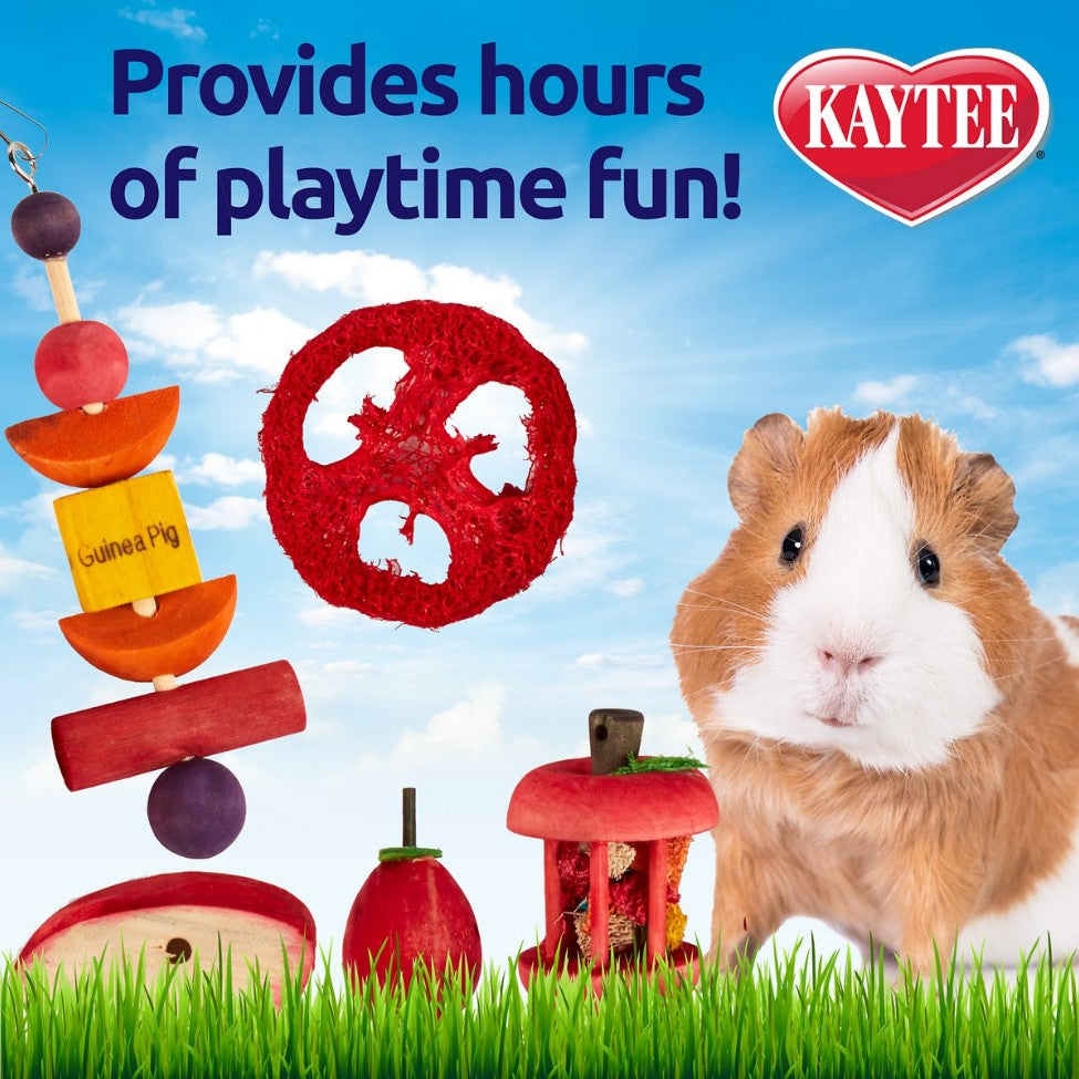 1 count Kaytee Chew & Treat Toy Assortment for Guinea Pigs