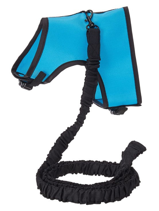 Kaytee Comfort Harness Plus Stretchy Leash Assorted Colors - PetMountain.com