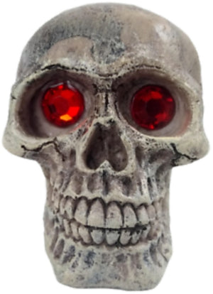 Penn Plax Deco-Replicas Skull Gazer Ornament Assorted Styles - PetMountain.com
