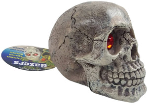 Penn Plax Deco-Replicas Skull Gazer Ornament Assorted Styles - PetMountain.com
