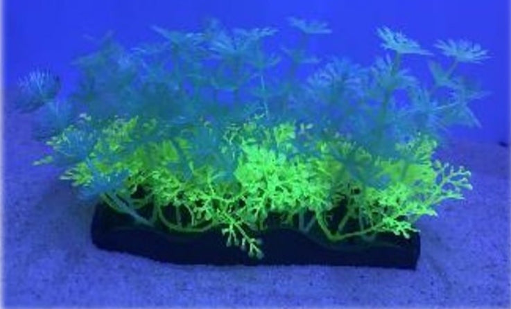 Penn Plax Aqua-Scaping Green Glow Bunch Plant - PetMountain.com