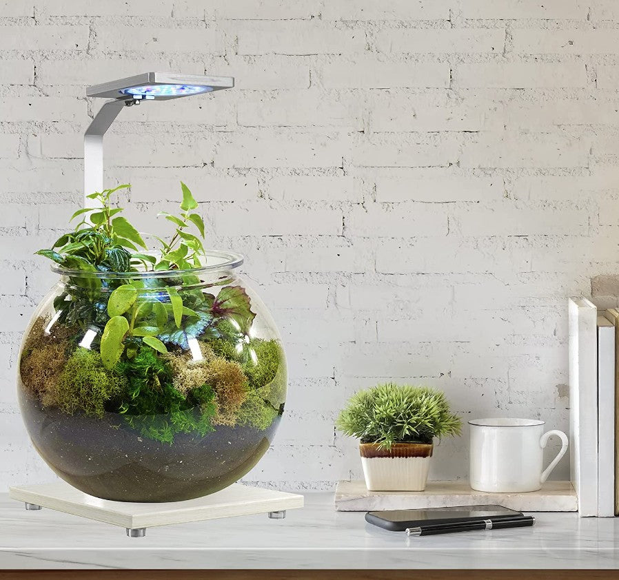 Penn Plax Eco-Sphere Bowl with Plant-Grow LED Light - PetMountain.com