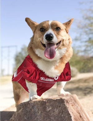 Pets First Oklahoma Mesh Jersey for Dogs - PetMountain.com