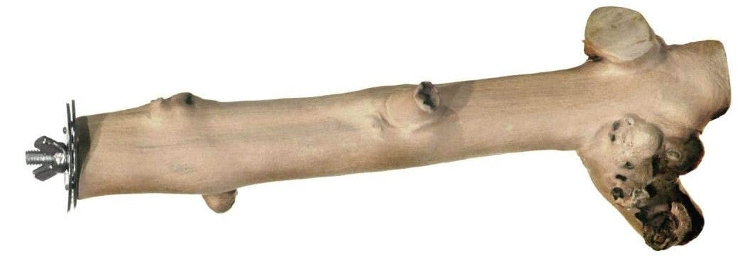 9" long - 4 count Prevue Pet Naturals Coffee Wood Straight Branch Perch