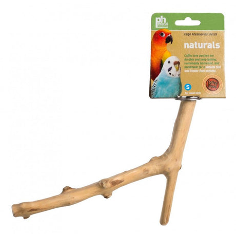 Small - 2 count Prevue Naturals Y-Branch Perch Coffee Wood