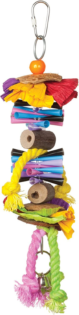 Prevue Tropical Teasers Party Time Bird Toy - PetMountain.com