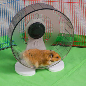 Large - 1 count Prevue Quiet Wheel Exercise Wheel for Small Pets