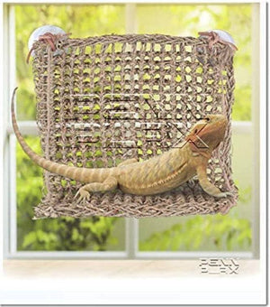 Reptology Lizard-Lounger Sun-Lover Window Perch - PetMountain.com