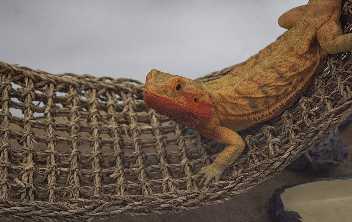 Reptology Natural Lizard Lounger 100% Natural Seagrass Fiber - PetMountain.com