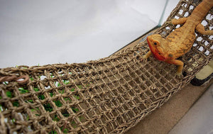 Reptology Natural Lizard Lounger 100% Natural Seagrass Fiber - PetMountain.com