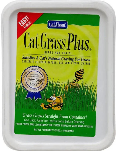 12 count Gimborn CatA'bout Cat Grass Plus Multi-Cat