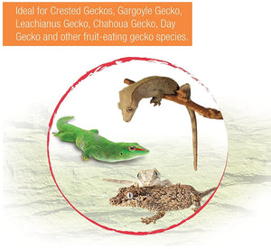 64 oz (8 x 8 oz) Zilla Gecko Gold Powdered Diet