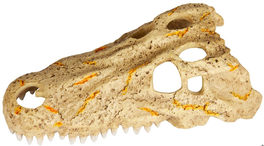 Zilla Rapid Sense Decor Crocodile Skull - PetMountain.com