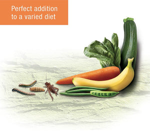 Zilla Reptile Munchies Fruit Mix - PetMountain.com