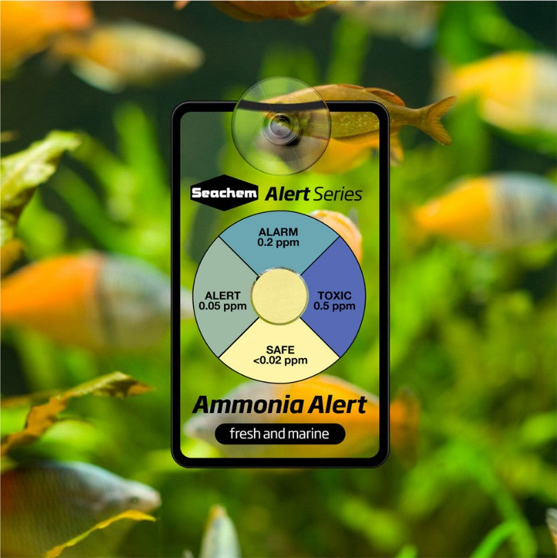3 count Seachem Ammonia Alert Sensor for Fresh and Saltwater Aquariums