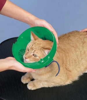 Soft Claws Soft Paws E-Collar for Cat and Small Dogs - PetMountain.com