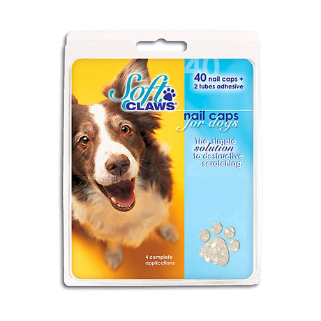 Small - 1 count Soft Claws Nail Caps for Dogs Natural