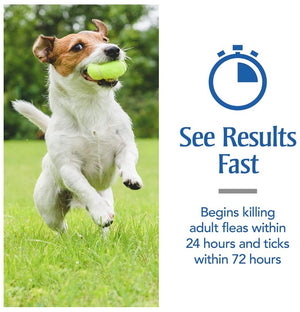 PetArmor Flea and Tick Treatment for Large Dogs (45-88 Pounds) - PetMountain.com
