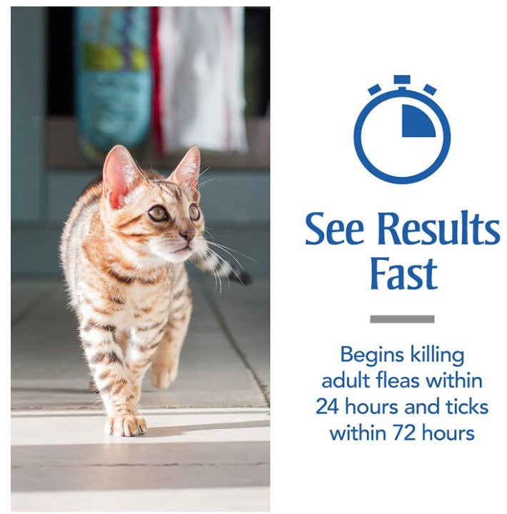 PetArmor Flea and Tick Treatment for Cats (Over 1.5 Pounds) - PetMountain.com