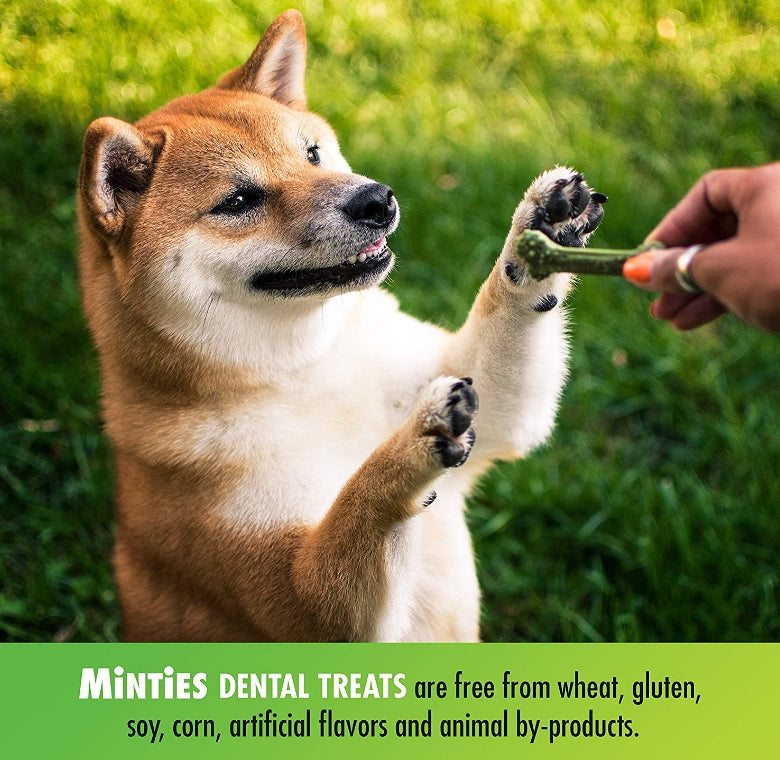 8 count Sergeants Minties Dental Treats for Dogs Medium Large