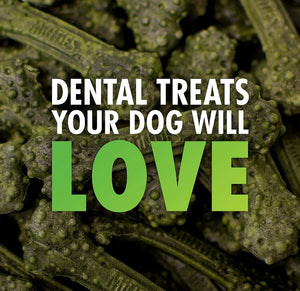 40 count Sergeants Minties Dental Treats for Dogs Medium Large