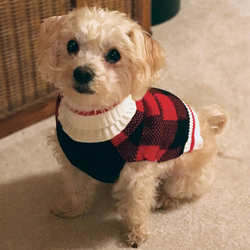 Fashion Pet Plaid Dog Sweater Red - PetMountain.com
