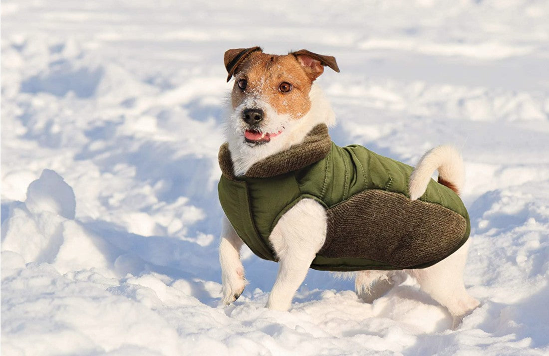 Fashion Pet Sweater Trim Puffy Dog Coat Olive - PetMountain.com